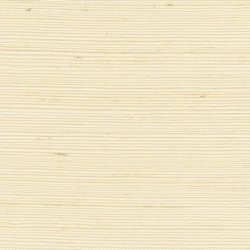 Papel Pintado Tribus RM106901