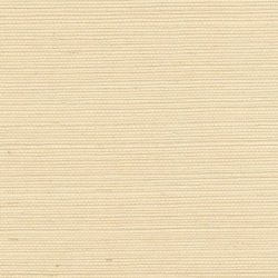 Papel Pintado Tribus RM106902