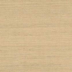 Papel Pintado Tribus RM106911