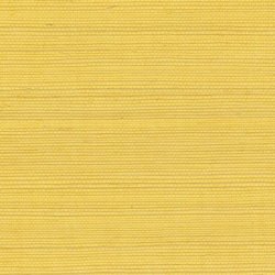 Papel Pintado Tribus RM106921