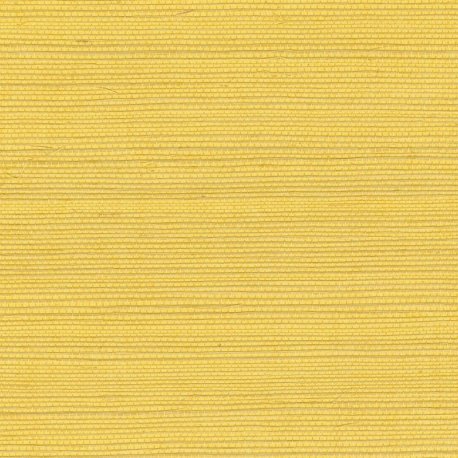 Papel Pintado Tribus RM106921