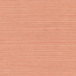 Papel Pintado Tribus RM106957