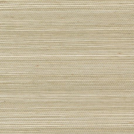 Papel Pintado Tribus RM107003