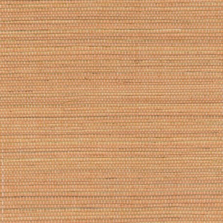 Papel Pintado Tribus RM107011