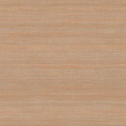 Papel Pintado Ceres VP100815