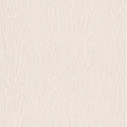 Papel Pintado Divinia 8536