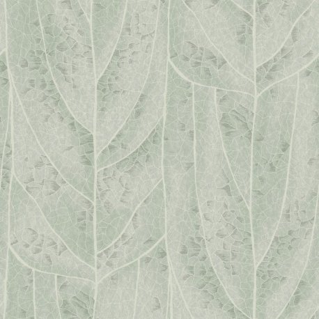 Papel Pintado Natural Discovery NT6141