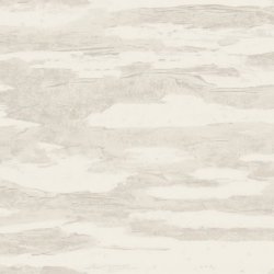 Papel Pintado Natural Discovery NT6176