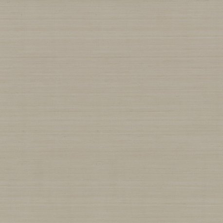 Papel Pintado Natural Discovery NT6207N