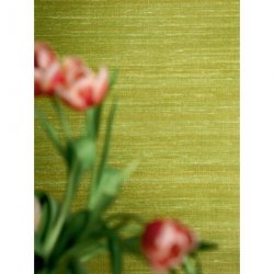 Decoraci&oacute;n con Papel Pintado Elixir de Soies VP92872