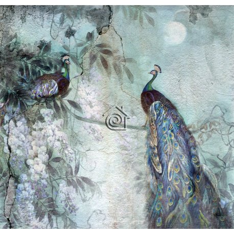 Fotomural Pavos Reales 8752B