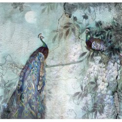 Fotomural Pavos Reales 8752A