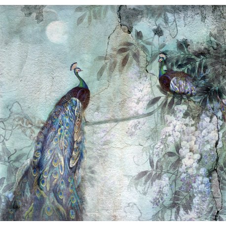 Fotomural Pavos Reales 8752A