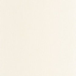 Papel Pintado Hansan 202520211