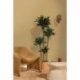 Papel Pintado Cocoon 107992460