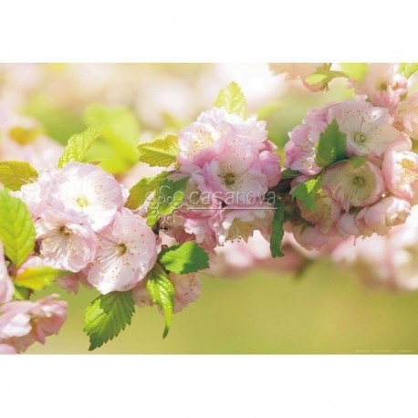 Fotomural SPRING-2872