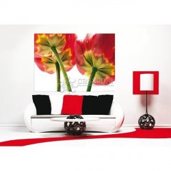 Decoraci&oacute;n con Fotomural FLOWERS-2878