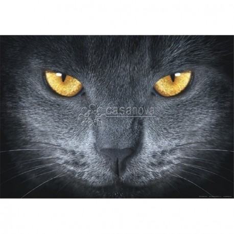 Fotomural GREY CAT-2882
