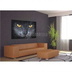 Decoraci&oacute;n con Fotomural GREY CAT-2882