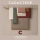 Caractere