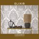 Elixir